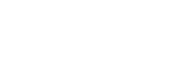 Primary logo (white)