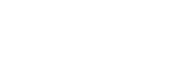 Secondary logo (white)